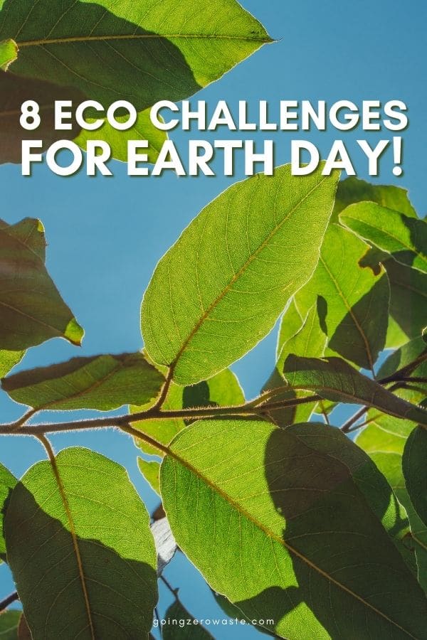 8 Eco Problem Concepts for Earth Day